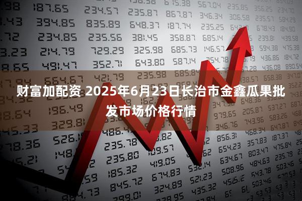 财富加配资 2025年6月23日长治市金鑫瓜果批发市场价格行情